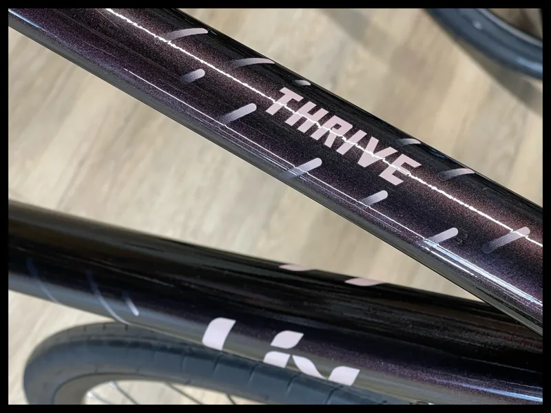 Liv Thrive 1 Medium Rosewood 2021-2