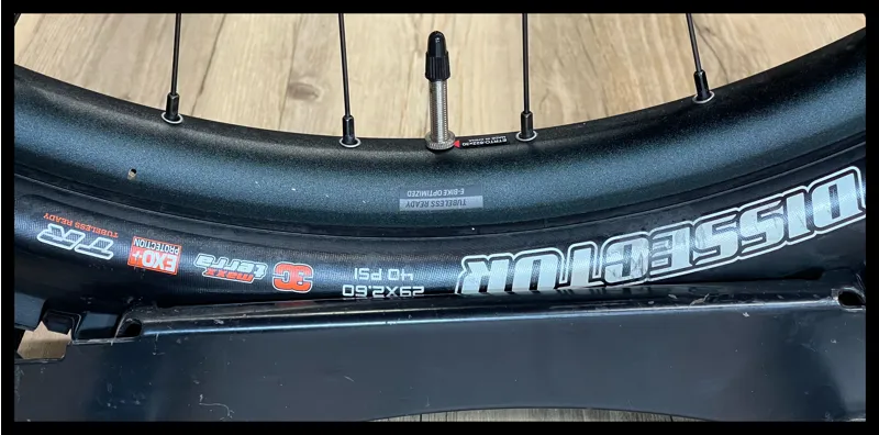 Trance X Advanced E+ 1 25km/h X-Large Panther/Phanthom Green 2022-6