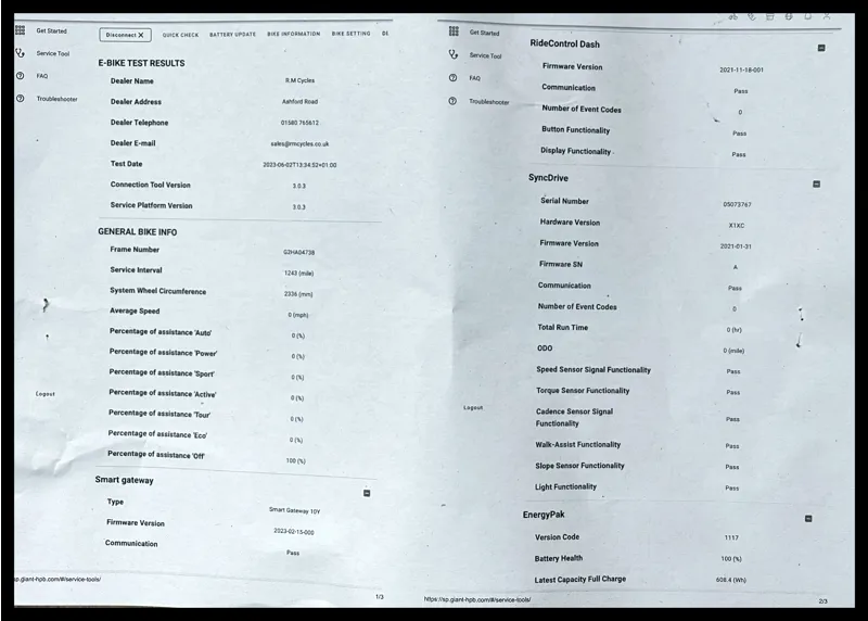 Revolt E+ Pro XR 25km/h Medium Rosewood 2021-9