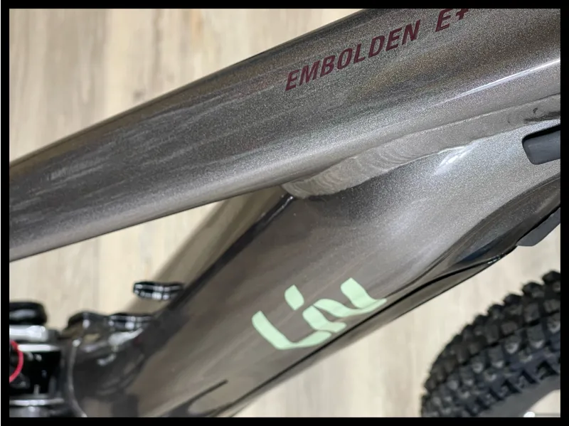 Embolden E+ 1 29er 25km/h Small Metal-2