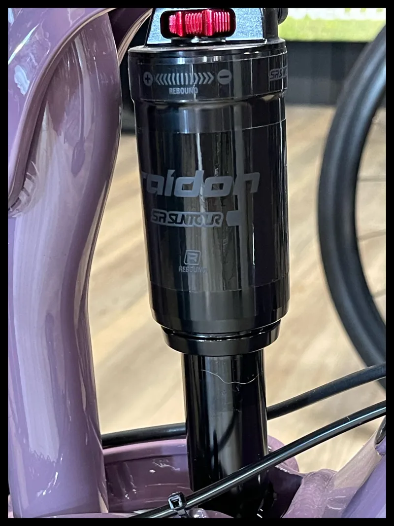 Liv Embolden 29 2 Small Purple Ash 2022-3