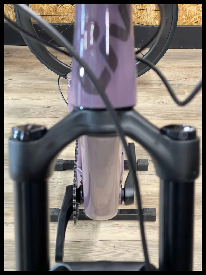 Liv Embolden 29 2 Small Purple Ash 2022-2