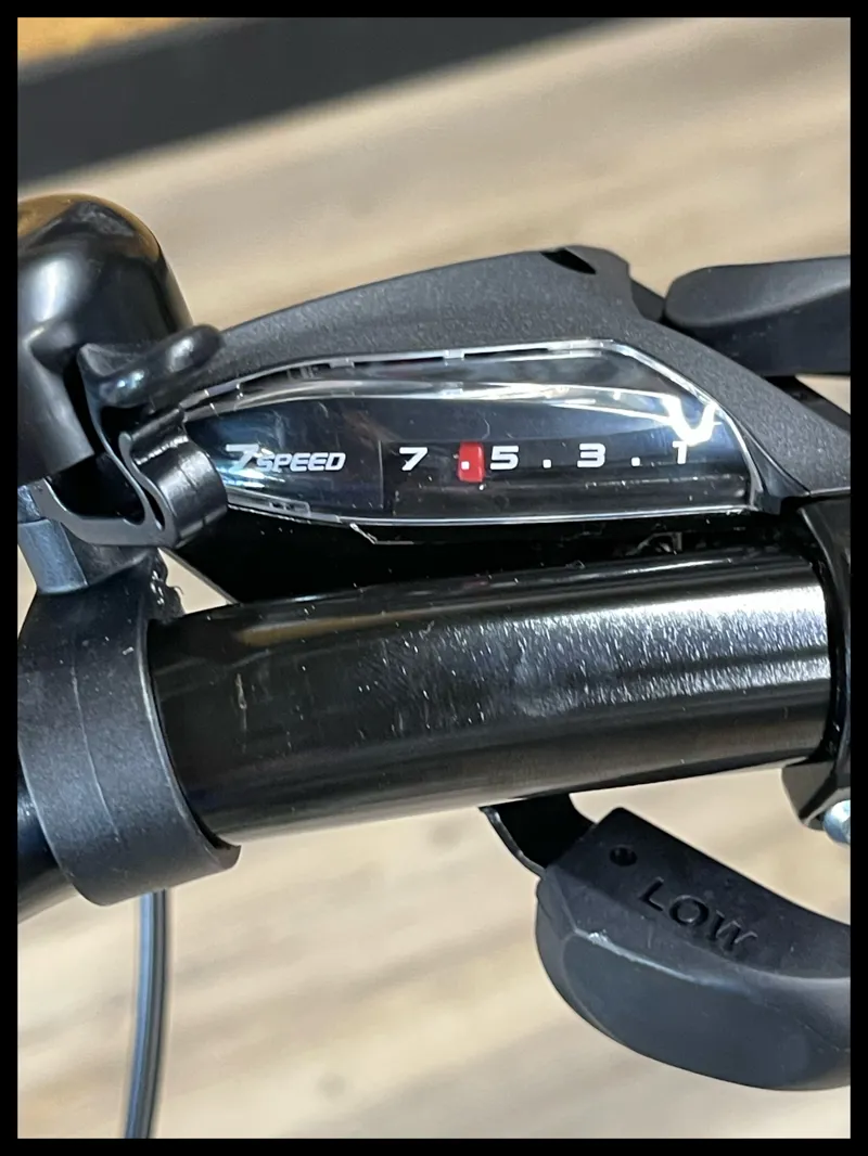 Liv Flourish FS 2 Small Desert Sage 2022-11