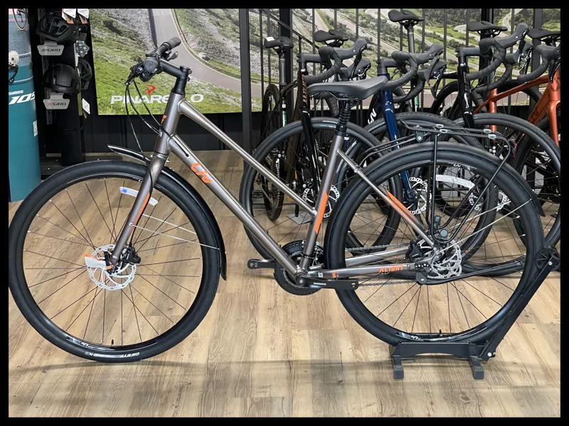 Liv Alight 2 City Disc Large Gloss Metal 2022-1