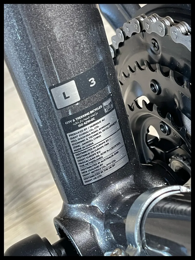 Giant Escape 3 Disc Large Metallic Black-4