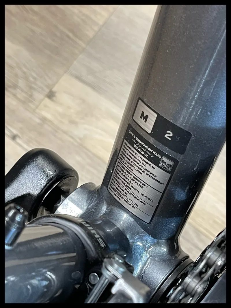 Giant Escape 2 Disc Medium Charcoal 2020-3