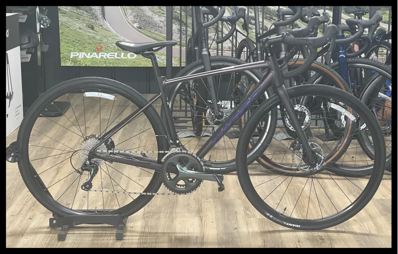 Giant Contend SL 2 Disc Small Rosewood