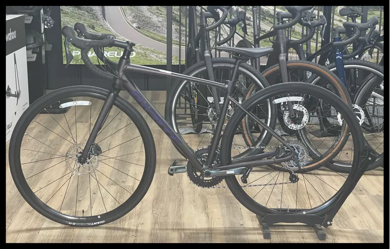 Giant Contend SL 2 Disc Small Rosewood-1