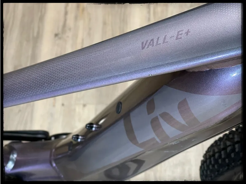 Liv Vall-E+ 2 29er 25km/h Medium Color A 2022-3