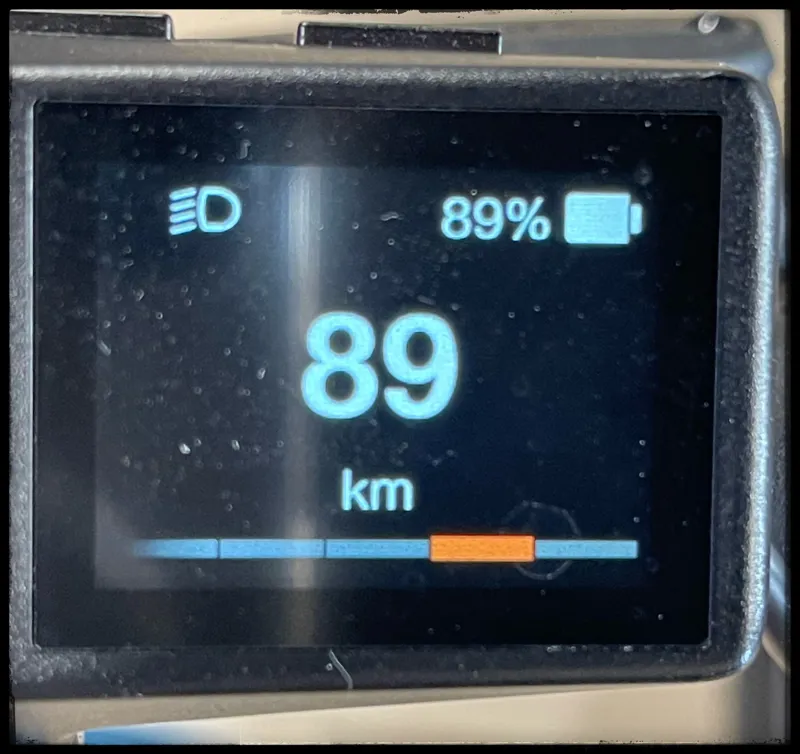 Liv Vall-E+ 2 29er 25km/h Medium Color A 2022-6