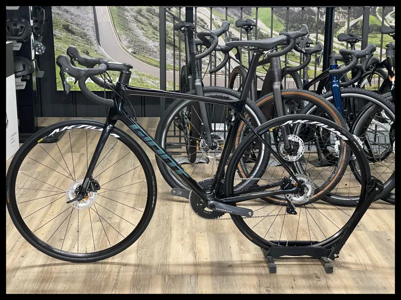 TCR Advanced Pro 2 Disc Shimano Components Medium Large-1