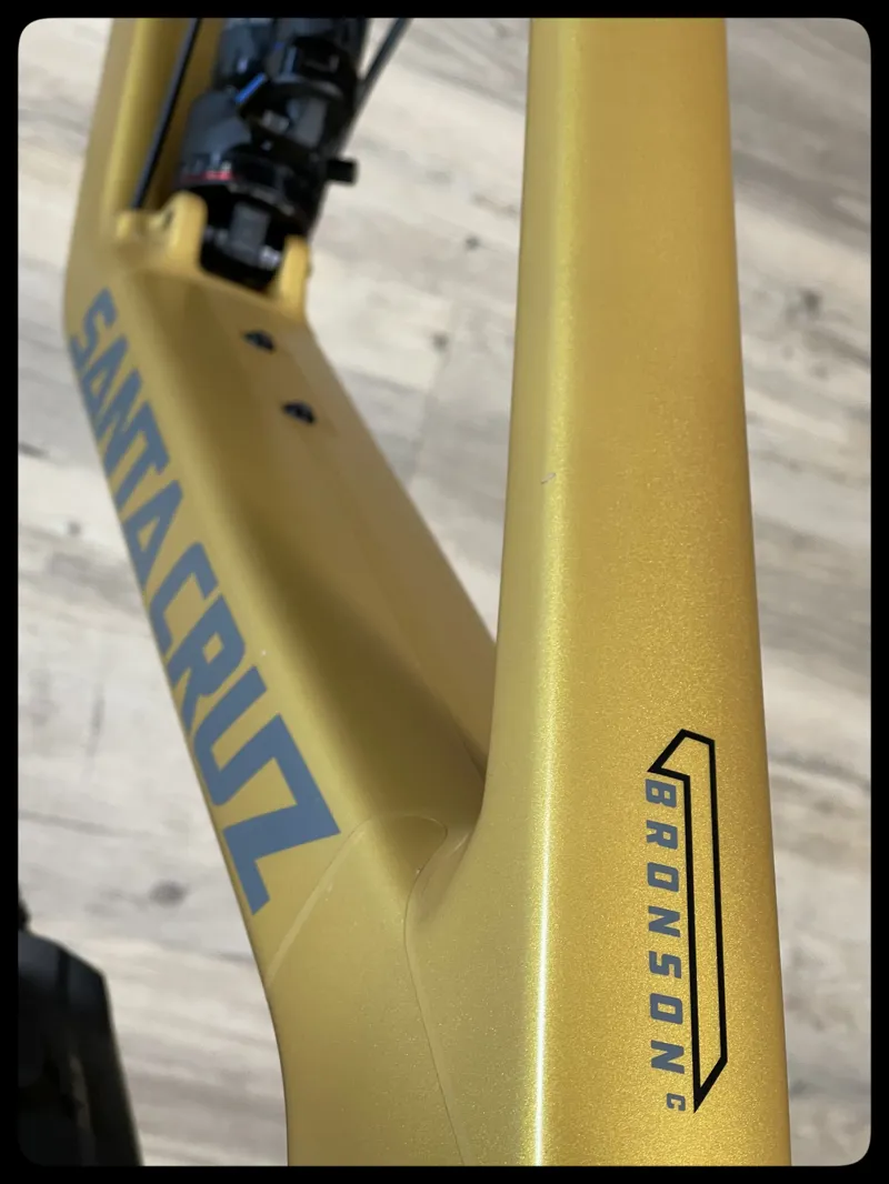 Santa Cruz Bronson Custom Build Medium Paydirt Gold-2