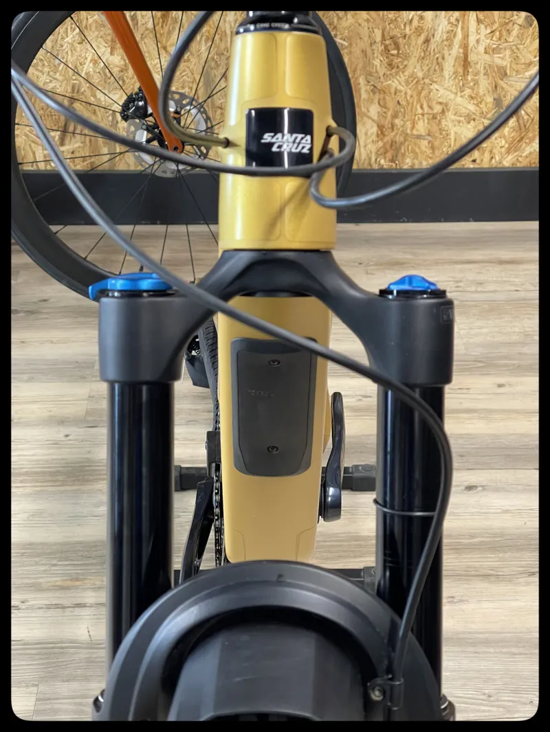 Santa Cruz Bronson Custom Build Medium Paydirt Gold-3