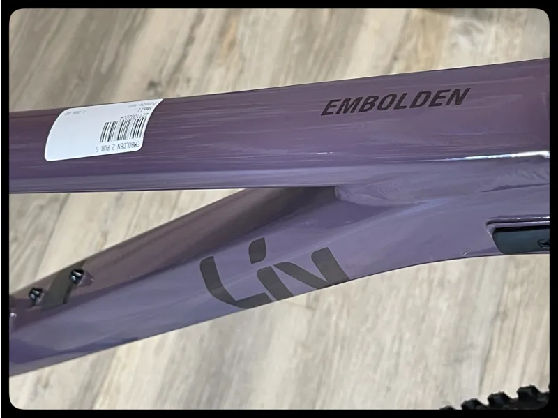 2022 Liv Embolden 27.5 2 Trail Bike in Purple Ash-2
