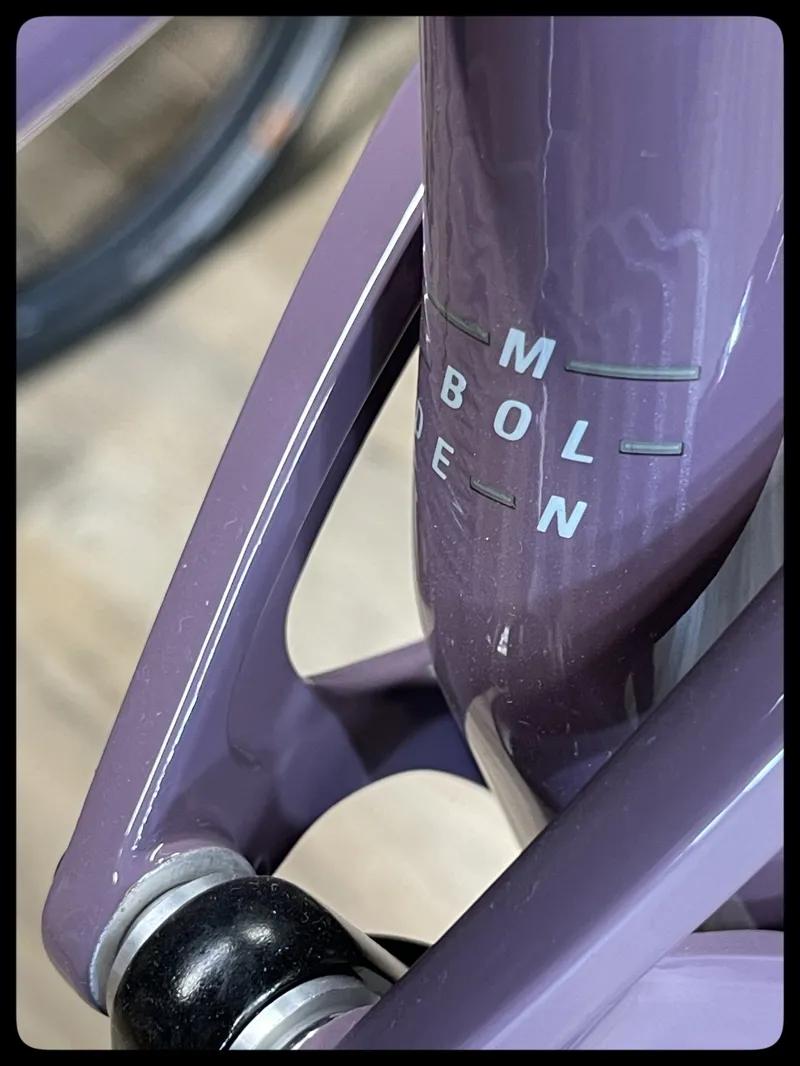 2022 Liv Embolden 27.5 2 Trail Bike in Purple Ash-3