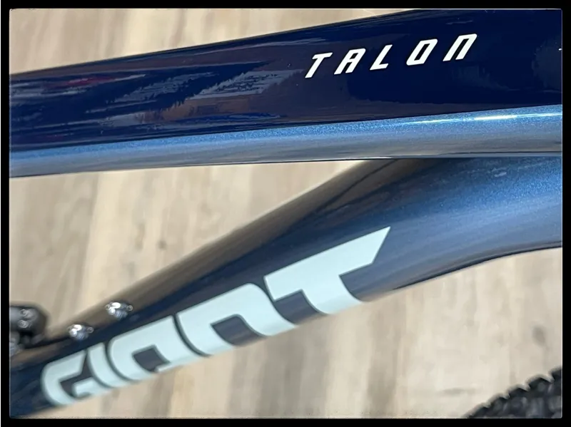 Giant Talon 29 0 Medium Blue Ashes 2021-2