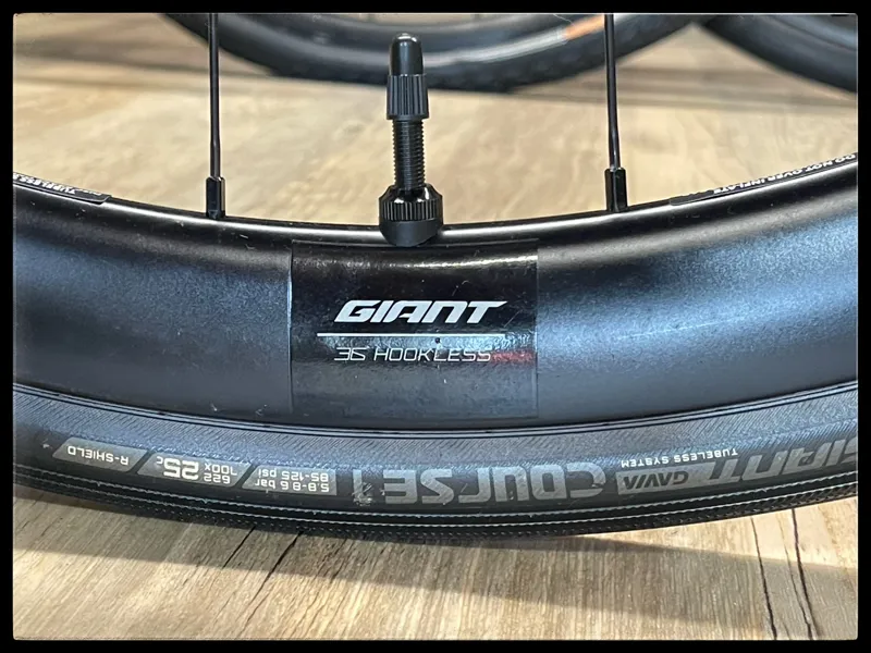 Liv Langma Advanced 1+ Disc Cold Iron Small 2022-7