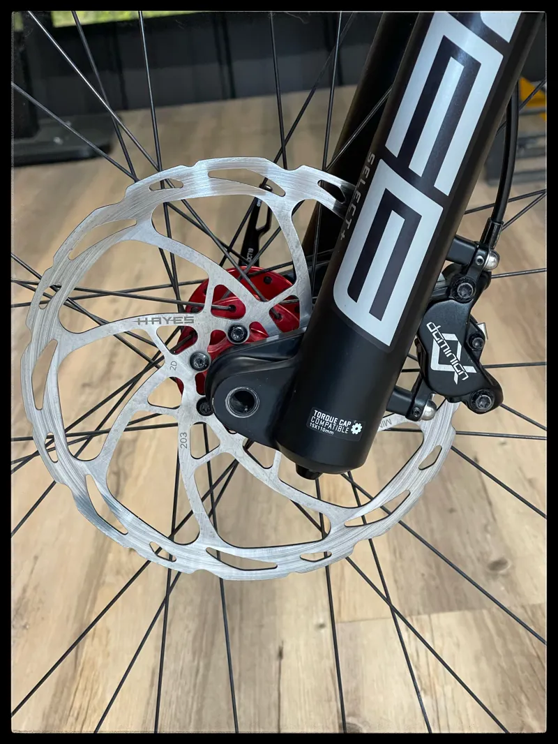 YT Capra Mullet 2021 size XXL Silver-11