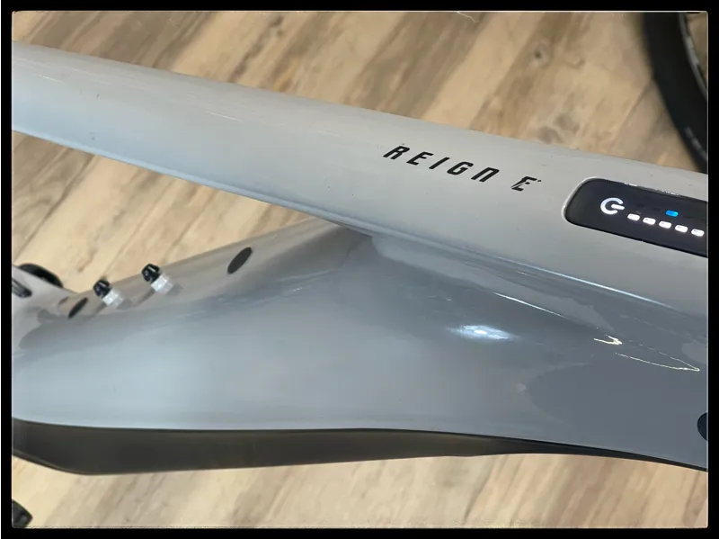 Giant Reign E+ 1 MX Pro 25km/h X-Large Good gray / Black 2021-2