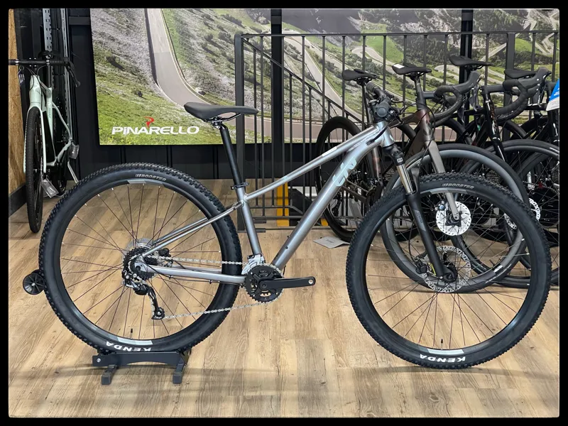 Liv Tempt 29 2 Small Liquid Metal 2022