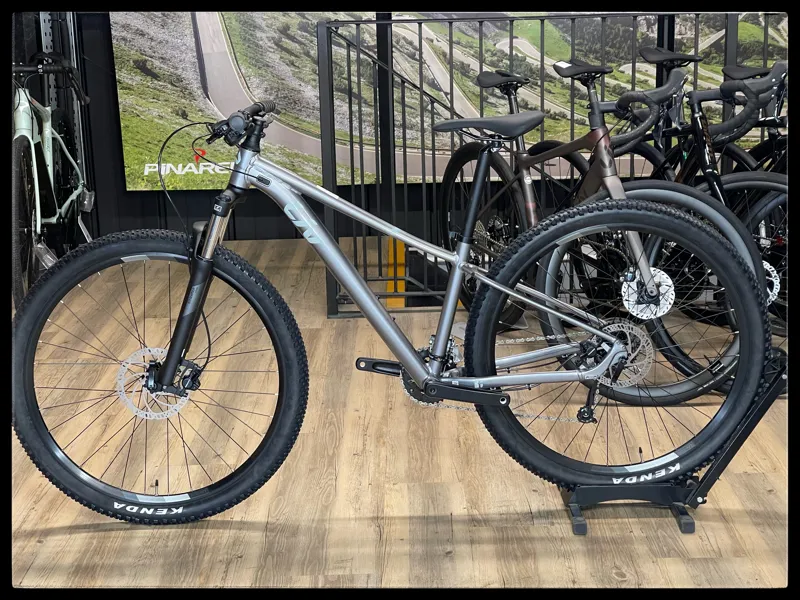 Liv Tempt 29 2 Small Liquid Metal 2022-1