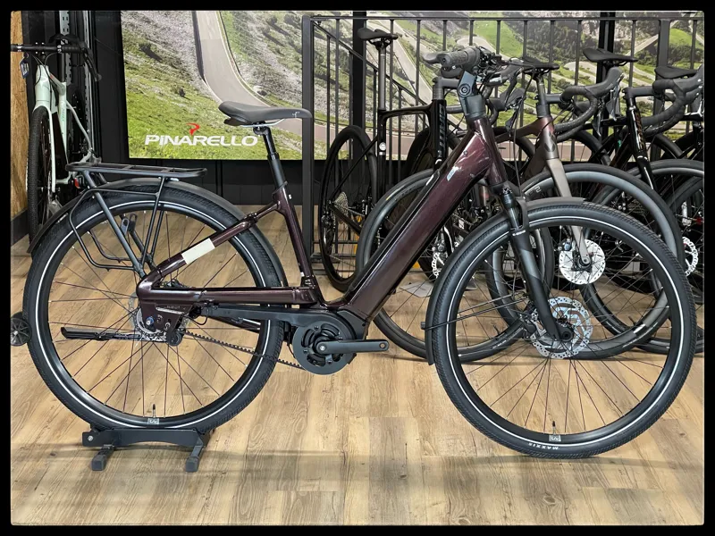 Liv Allure E+ 1 25km/h Small Rosewood 2022