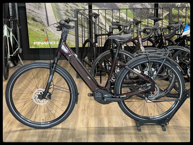 Liv Allure E+ 1 25km/h Small Rosewood 2022-1