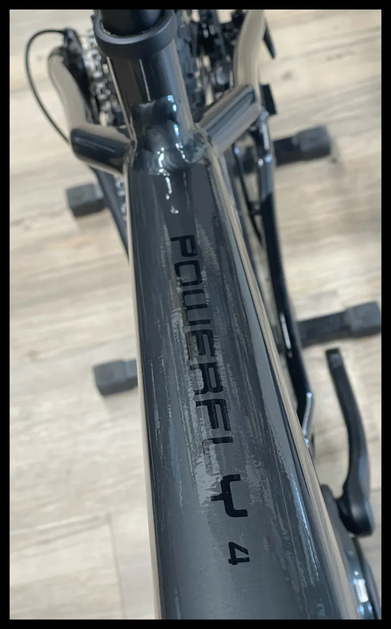 Trek Powerfly 4 large 2020  29er Grey eMTB-9