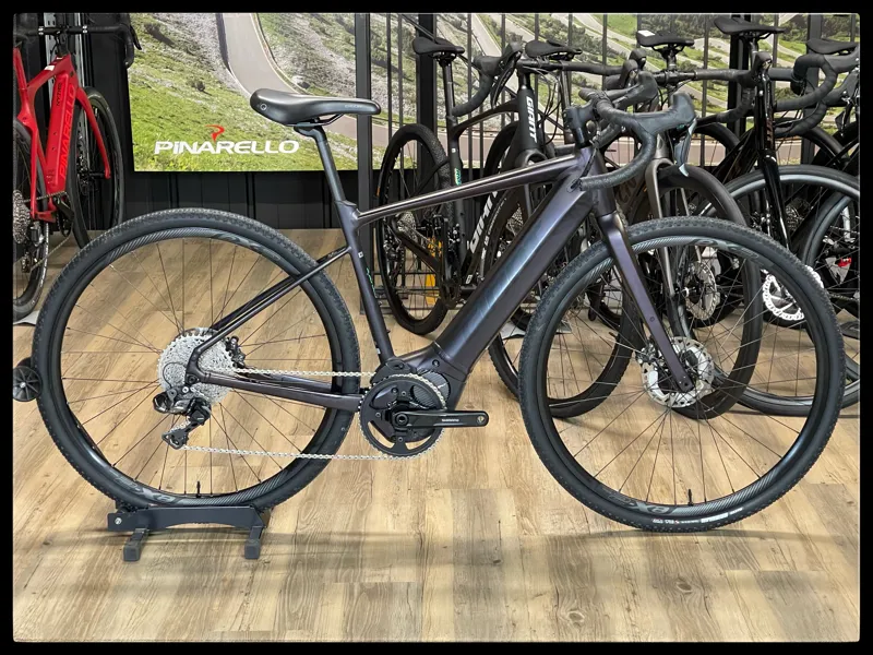 Revolt E+ Pro XR 25km/h Medium Rosewood 2021