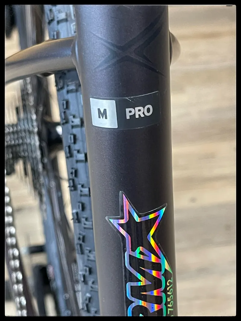 Revolt E+ Pro XR 25km/h Medium Rosewood 2021-2