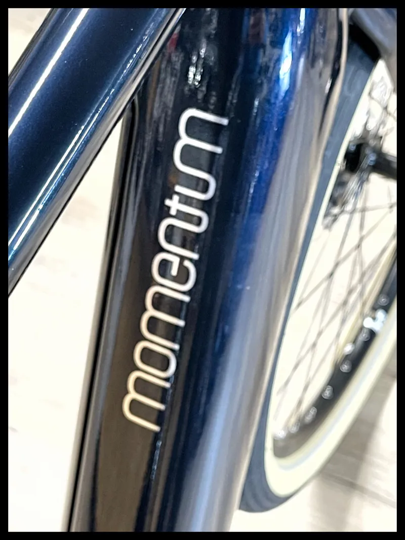 Momentum Transend E+ GTS 25km/h Large Ink-6