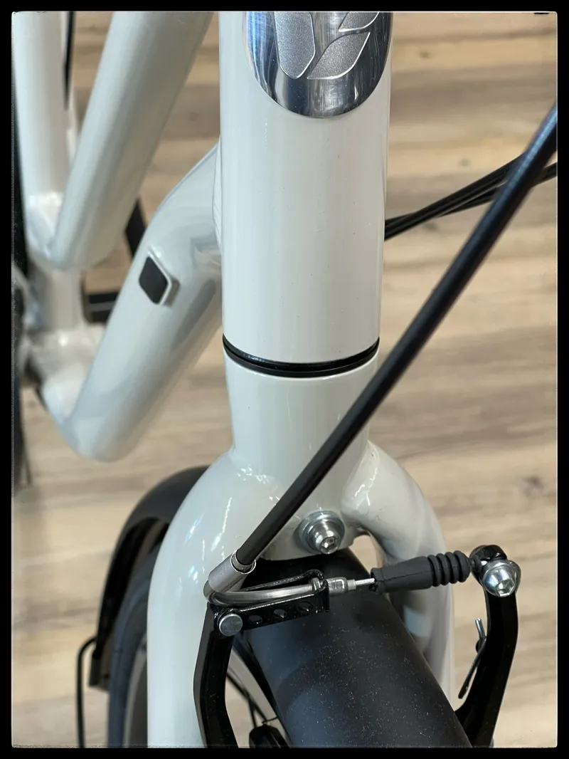 Liv FLOURISH 3 Medium Pulp Grey 2023-6