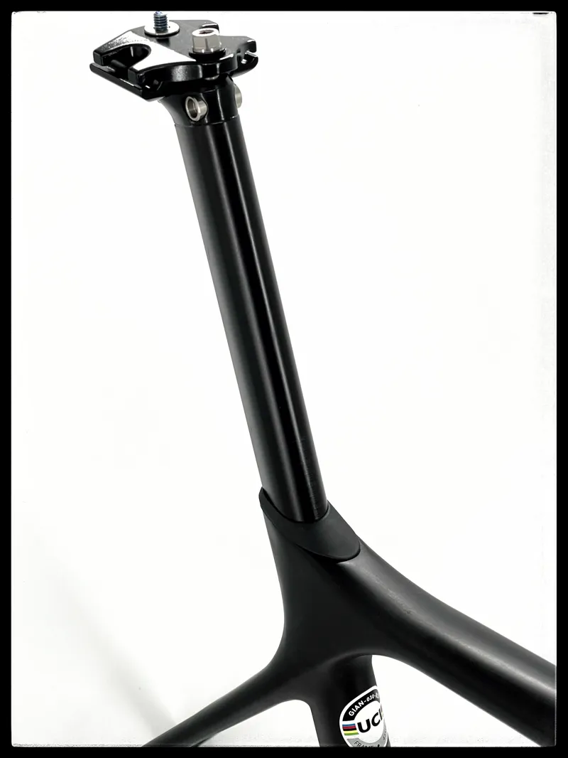 Giant TCR Advanced 2 Disc M-Large Carbon Frame 2021-6