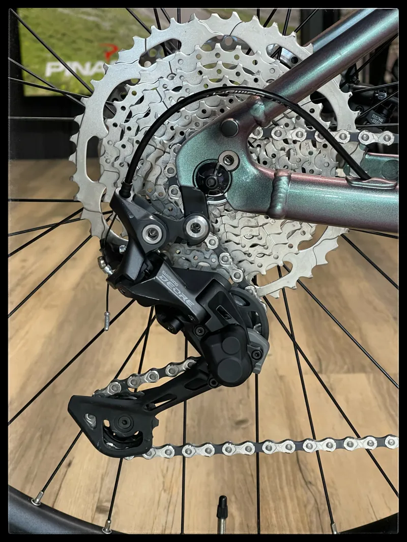 Liv Vall-E+ 2 25km/h Small Echeveria 2022-4