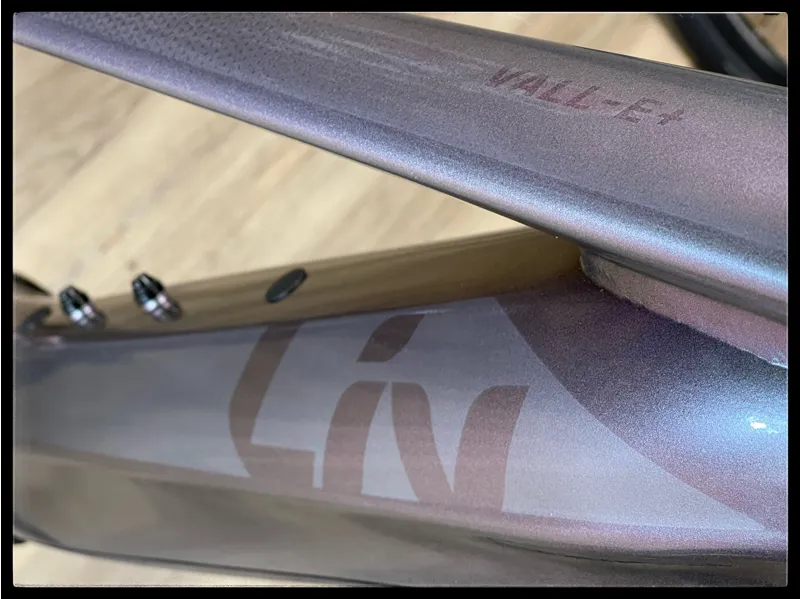 Liv Vall-E+ 2 25km/h Small Echeveria 2022-2