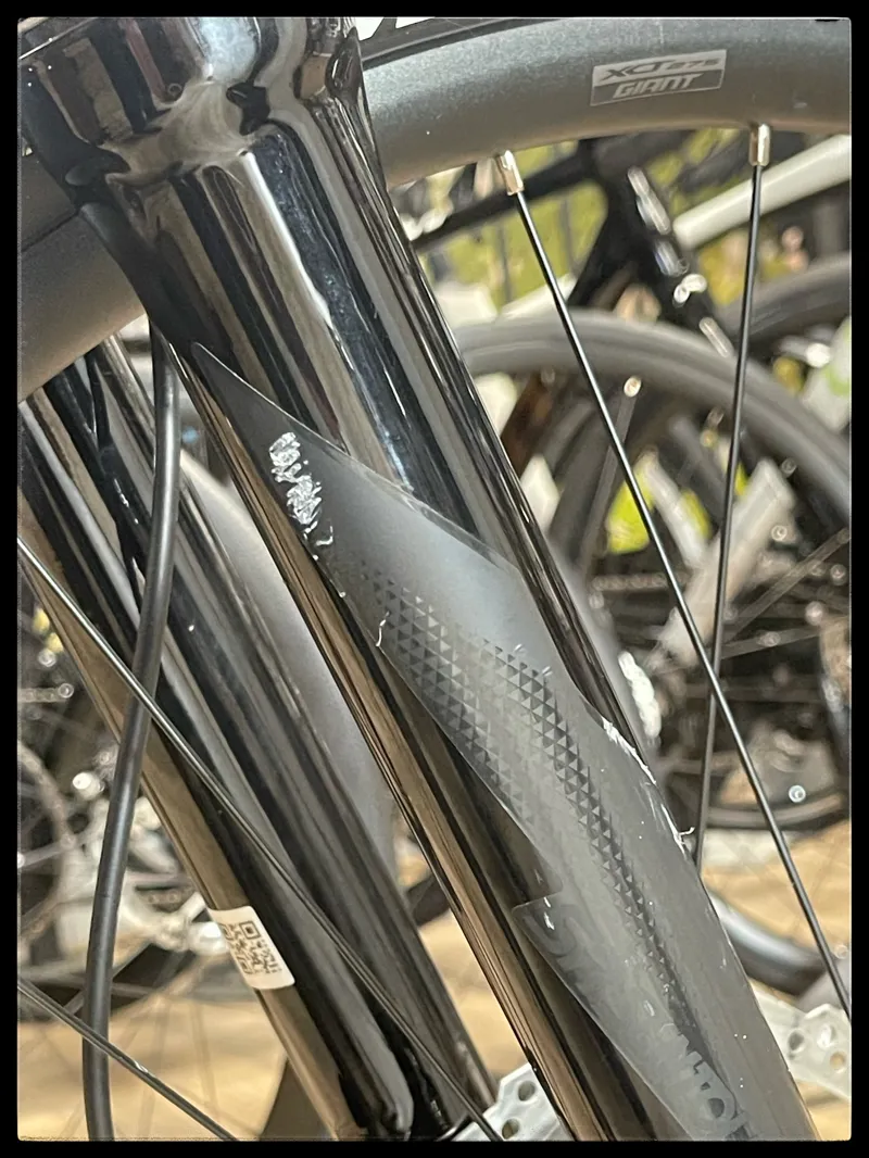 Liv Vall-E+ 2 25km/h Small Echeveria 2022-5