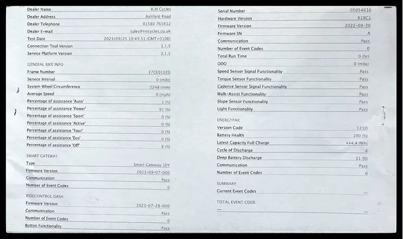 Liv Vall-E+ 2 25km/h Small Echeveria 2022-9