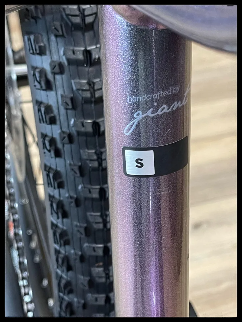 Liv Vall-e 25/h Small echeveria 2021-3