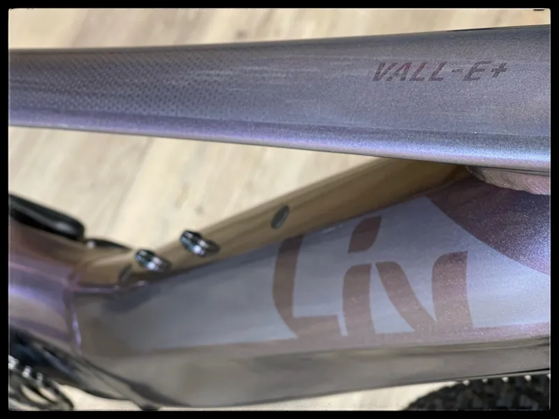 Liv Vall-e 25/h Small echeveria 2021-2