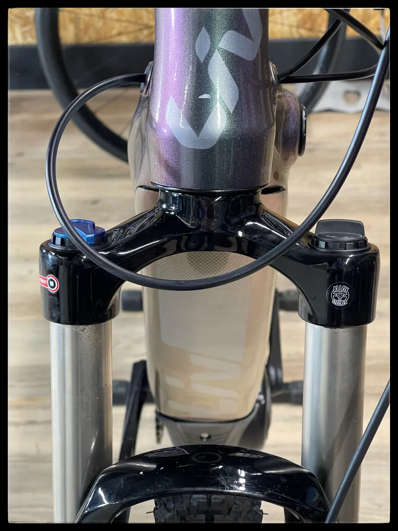 Liv Vall-e 25/h Small echeveria 2021-6