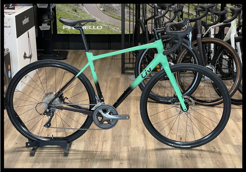 Avail AR 4 Large Neo Mint