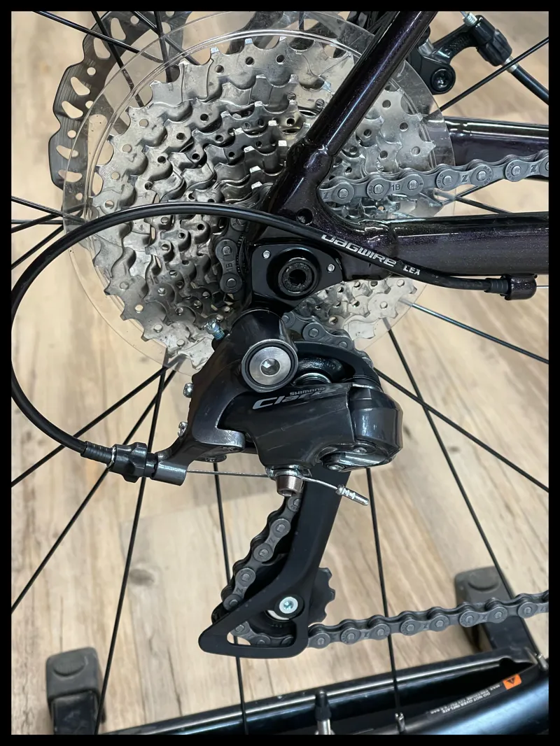 Avail AR 4 Large Neo Mint-3