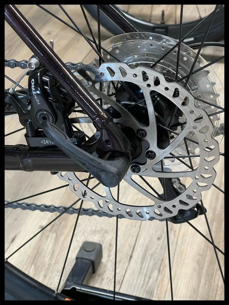 Avail AR 4 Large Neo Mint-7