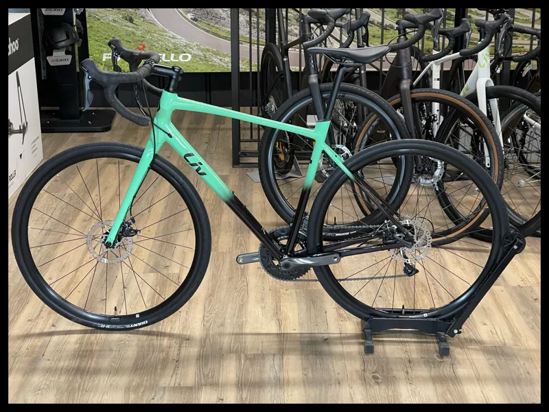 Avail AR 4 Large Neo Mint-1