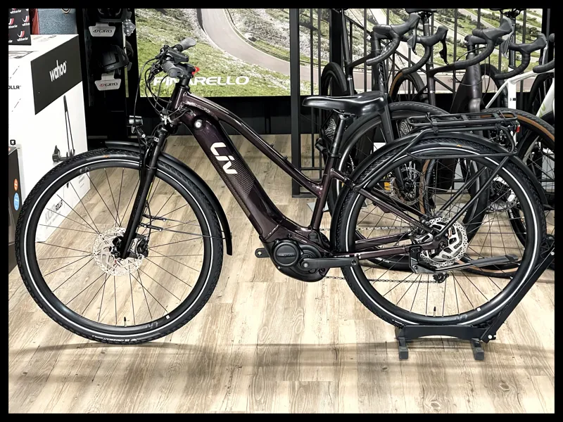 Amiti-E+ 2 25km/h XS Rosewood-1