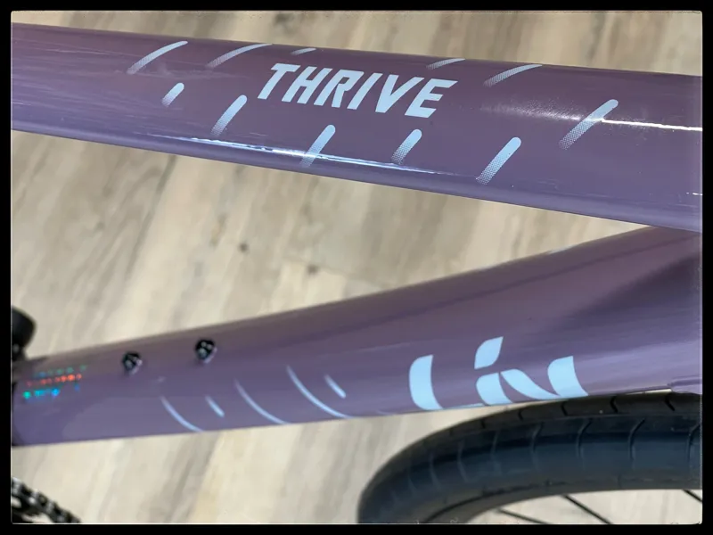 Liv Thrive 2 Small Purple Ash 2022-2