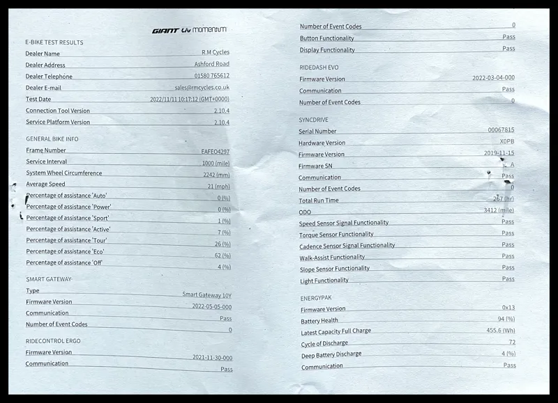 Explore E+ 1 Pro GTS 25km/h M Rosewood-9