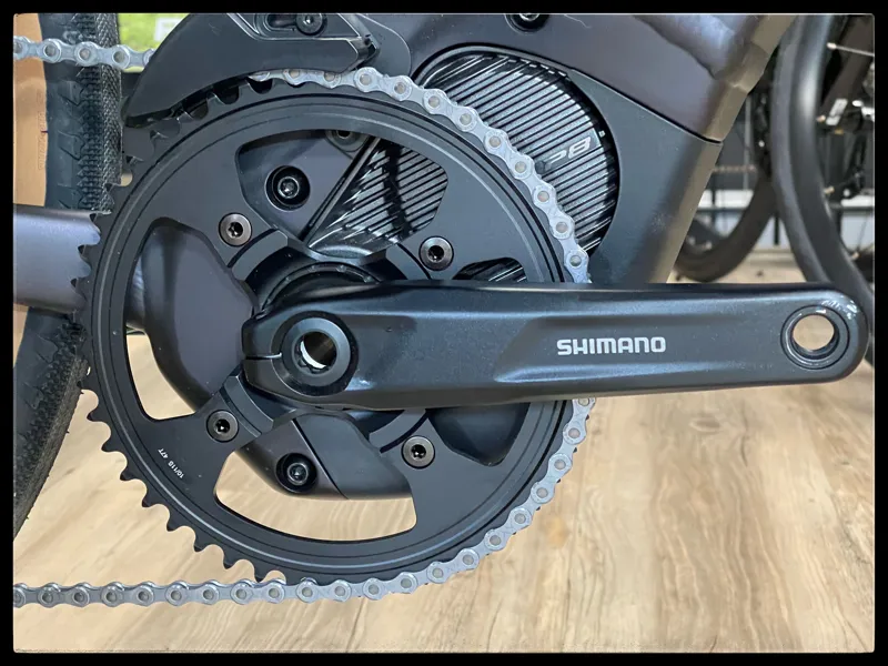 Giant Revolt E+ Pro XR 25km/h Medium Rosewood 2021-4