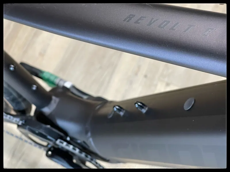 Giant Revolt E+ Pro XR 25km/h Medium Rosewood 2021-2