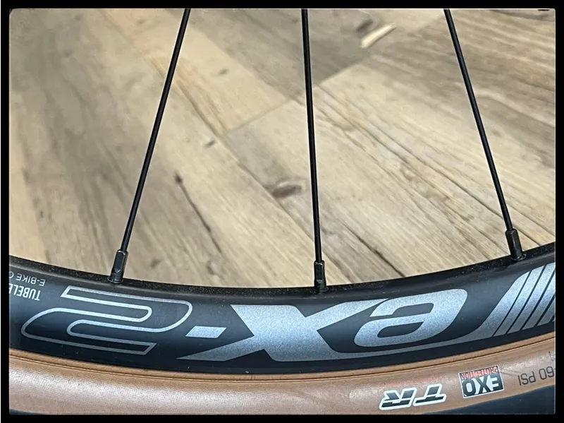 Giant Revolt E+ Pro XR 25km/h Medium Rosewood 2021-5